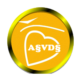 Associação Vertentes e Desafios da Segurança (ASVDS)