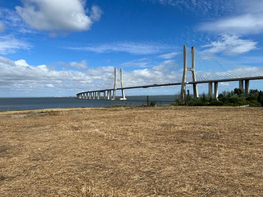 Leopoldina notícia - Recinto da JMJ Lisboa 2023 entregue à Oliveiras, S.A.