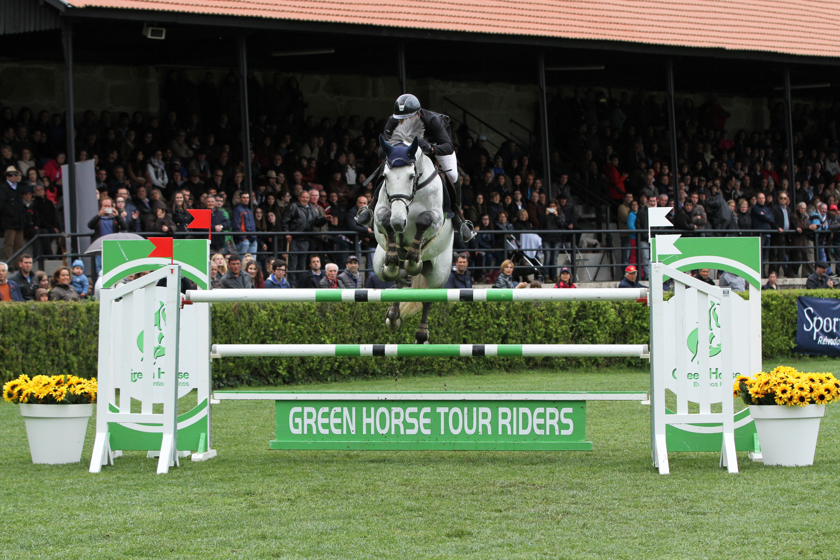 Leopoldina notícia - Apesar das condições meteorológicas adversas, CSI* revelou-se um sucesso - Pedras Salgadas retoma tradição hípica  